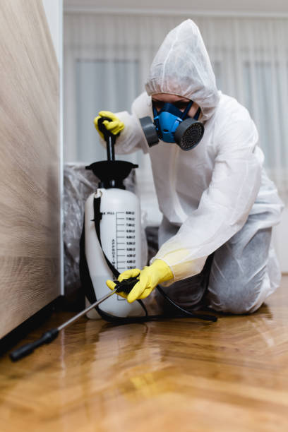 Professional Pest Control in Los Angeles, CA